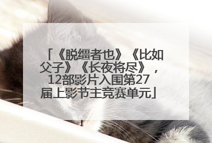 《脱缰者也》《比如父子》《长夜将尽》，12部影片入围第27届上影节主竞赛单元