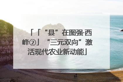 「“县”在图强·西峰②」“三元双向”激活现代农业新动能