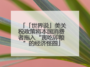「世界说」美关税政策将本国消费者拖入“寅吃卯粮”的经济怪圈
