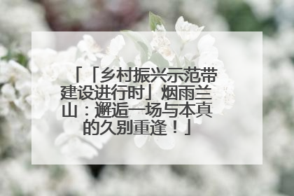 「乡村振兴示范带建设进行时」烟雨兰山：邂逅一场与本真的久别重逢！