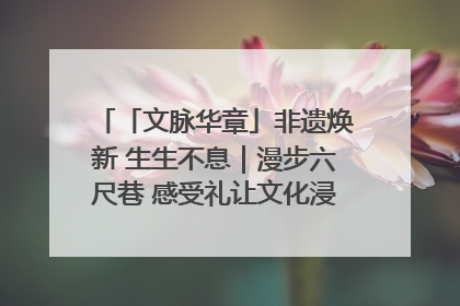 「文脉华章」非遗焕新 生生不息｜漫步六尺巷 感受礼让文化浸润的“巷”往生活