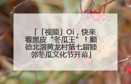「视频」Oi，快来看黑皮“冬瓜王”！顺德北滘黄龙村第七届睦邻冬瓜文化节开幕