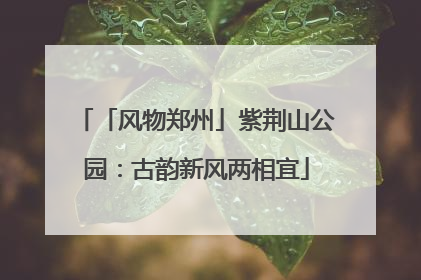 「风物郑州」紫荆山公园：古韵新风两相宜