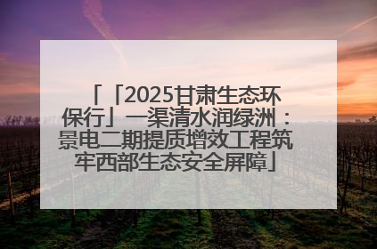 「2025甘肃生态环保行」一渠清水润绿洲：景电二期提质增效工程筑牢西部生态安全屏障
