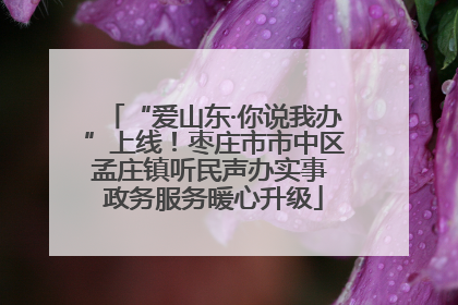 “爱山东·你说我办”上线！枣庄市市中区孟庄镇听民声办实事 政务服务暖心升级