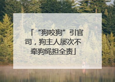 “狗咬狗”引官司，狗主人屡次不牵狗绳担全责