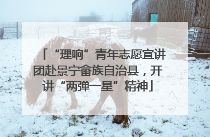“理响”青年志愿宣讲团赴景宁畲族自治县，开讲“两弹一星”精神