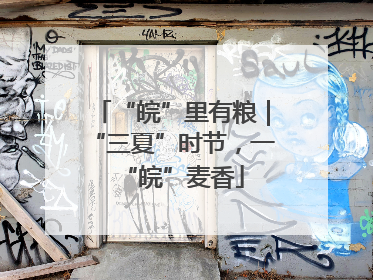 “皖”里有粮｜“三夏”时节，一“皖”麦香