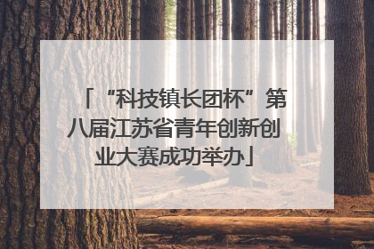 “科技镇长团杯”第八届江苏省青年创新创业大赛成功举办