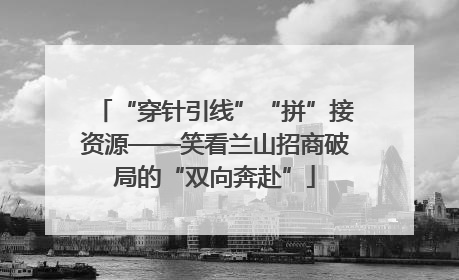 “穿针引线”“拼”接资源——笑看兰山招商破局的“双向奔赴”