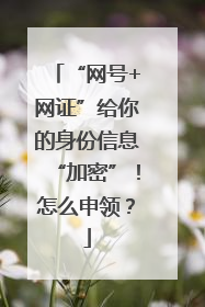 “网号+网证”给你的身份信息“加密”！怎么申领？