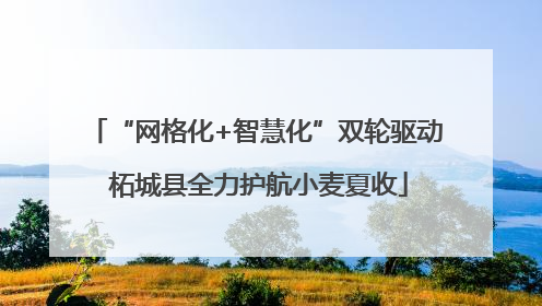 “网格化+智慧化”双轮驱动 柘城县全力护航小麦夏收