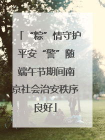 “粽”情守护 平安“警”随 端午节期间南京社会治安秩序良好