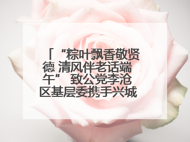 “粽叶飘香敬贤德 清风伴老话端午” 致公党李沧区基层委携手兴城路街道四流北路社区开展端午节主题活动