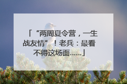 “两周夏令营，一生战友情”！老兵：最看不得这场面……