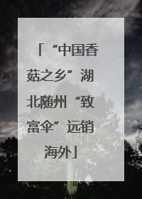 “中国香菇之乡”湖北随州“致富伞”远销海外