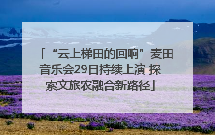“云上梯田的回响”麦田音乐会29日持续上演 探索文旅农融合新路径