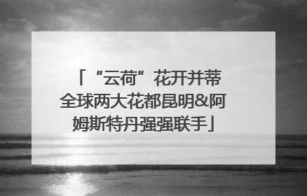 “云荷”花开并蒂 全球两大花都昆明&阿姆斯特丹强强联手