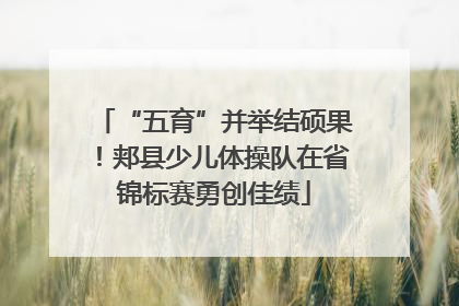 “五育”并举结硕果！郏县少儿体操队在省锦标赛勇创佳绩