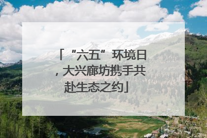 “六五”环境日，大兴廊坊携手共赴生态之约