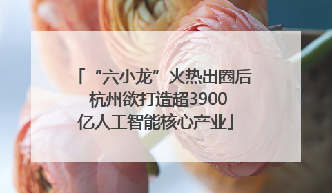 “六小龙”火热出圈后 杭州欲打造超3900亿人工智能核心产业