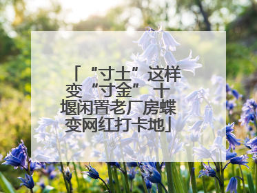 “寸土”这样变“寸金” 十堰闲置老厂房蝶变网红打卡地