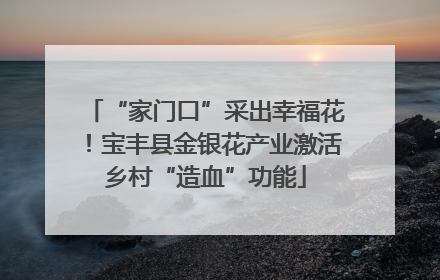 “家门口”采出幸福花！宝丰县金银花产业激活乡村“造血”功能