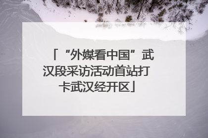 “外媒看中国”武汉段采访活动首站打卡武汉经开区