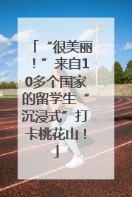 “很美丽！”来自10多个国家的留学生“沉浸式”打卡桃花山！
