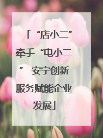 “店小二”牵手“电小二” 安宁创新服务赋能企业发展
