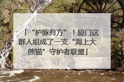 “护豚有方”！厦门这群人组成了一支“海上大熊猫”守护者联盟