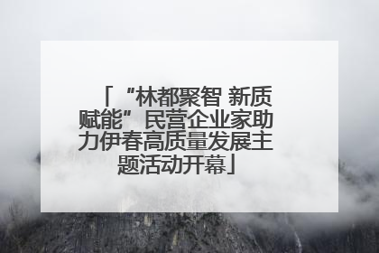 “林都聚智 新质赋能”民营企业家助力伊春高质量发展主题活动开幕