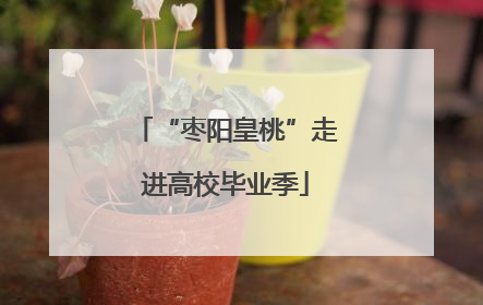 “枣阳皇桃”走进高校毕业季