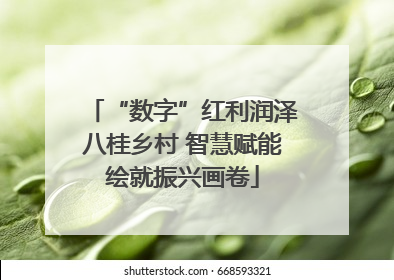 “数字”红利润泽八桂乡村 智慧赋能绘就振兴画卷