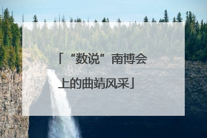 “数说”南博会上的曲靖风采