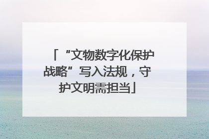“文物数字化保护战略”写入法规，守护文明需担当