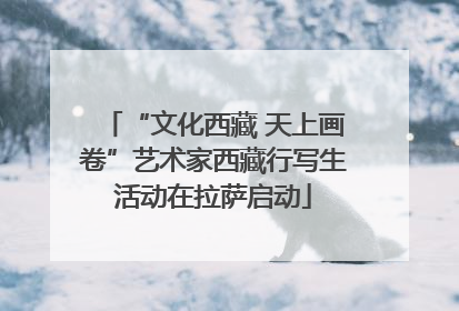 “文化西藏 天上画卷”艺术家西藏行写生活动在拉萨启动
