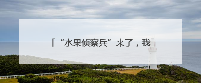 “水果侦察兵”来了，我在六月的威海发现了它！
