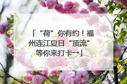 “荷”你有约！福州连江夏日“顶流”等你来打卡→