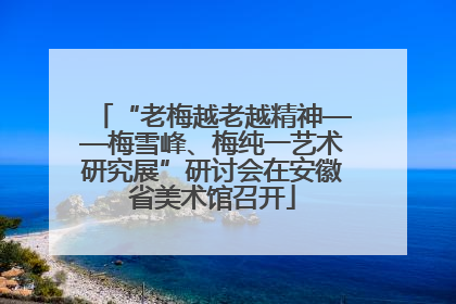 “老梅越老越精神——梅雪峰、梅纯一艺术研究展”研讨会在安徽省美术馆召开