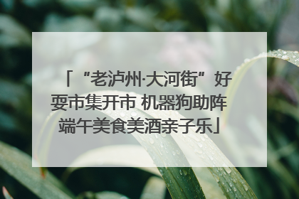“老泸州·大河街”好耍市集开市 机器狗助阵端午美食美酒亲子乐