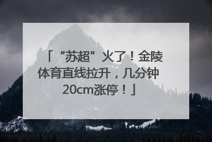 “苏超”火了！金陵体育直线拉升，几分钟20cm涨停！