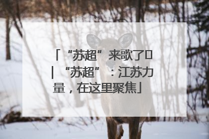 “苏超”来歌了⑪｜“苏超”：江苏力量，在这里聚焦