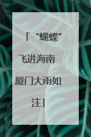 “蝴蝶”飞进海南 厦门大雨如注