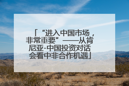 “进入中国市场，非常重要”——从肯尼亚-中国投资对话会看中非合作机遇