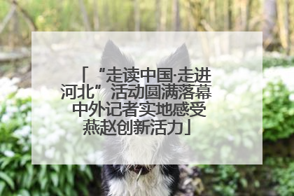 “走读中国·走进河北”活动圆满落幕 中外记者实地感受燕赵创新活力
