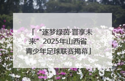“逐梦绿茵·晋享未来”2025年山西省青少年足球联赛揭幕
