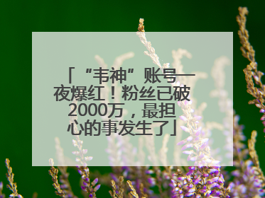 “韦神”账号一夜爆红！粉丝已破2000万，最担心的事发生了
