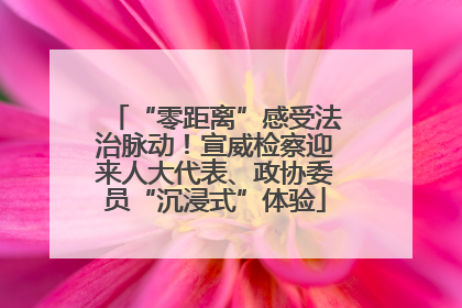 “零距离”感受法治脉动！宣威检察迎来人大代表、政协委员“沉浸式”体验