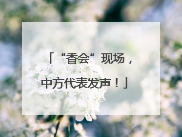 “香会”现场，中方代表发声！